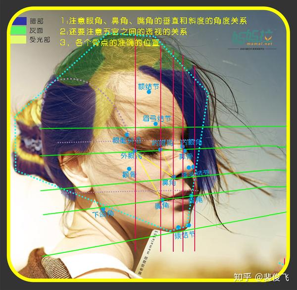 裴俊飞老师素描头像女青年侧面图文详细分析
