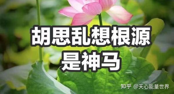 怎样才能停止自己脑子里胡思乱想?(超级无敌干货)