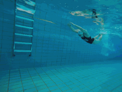 蝶泳技术分享,对你肯定有帮助!