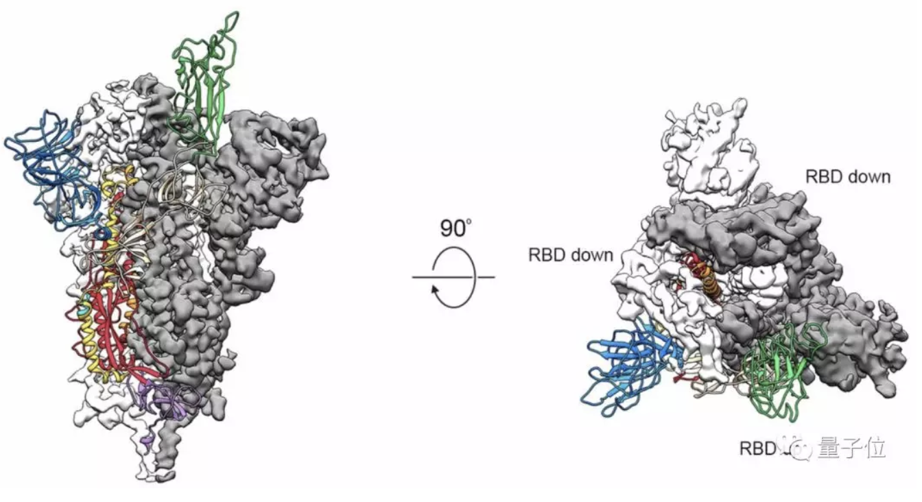 首个新冠病毒"门钥匙"3d结构图登上science:疫苗和药物开发关键靶点