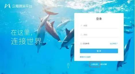 注册自媒体帐号?怎么给自己的自媒体帐号取个好听好记