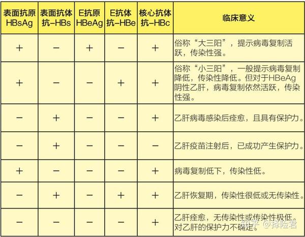 乙肝两对半检查报告解读