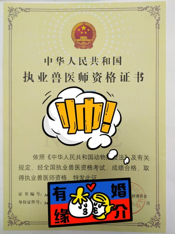 想做宠物医生如何拿下执业兽医师 知乎