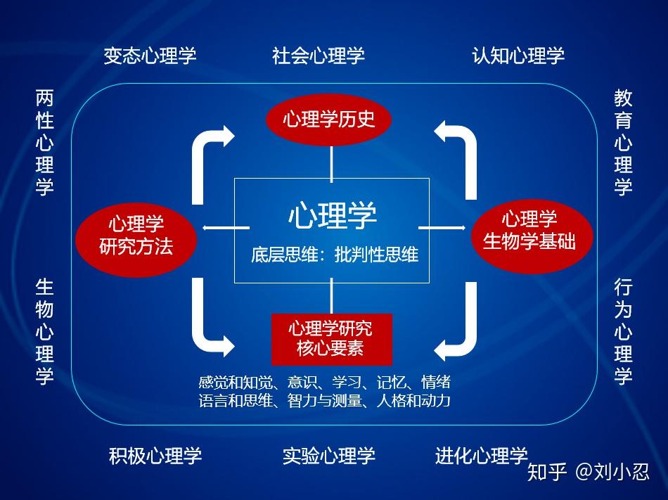 整体性学习法基于大脑神经认知的高效学习策略