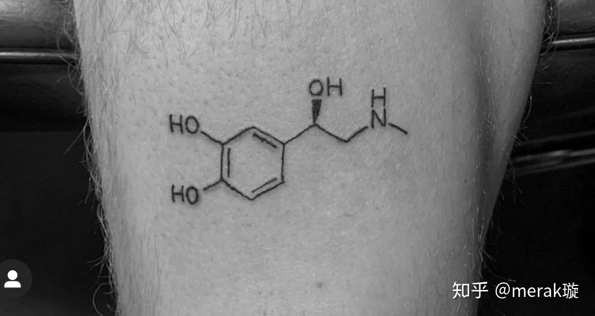 纹身理科学霸专属分子式方程式纹身