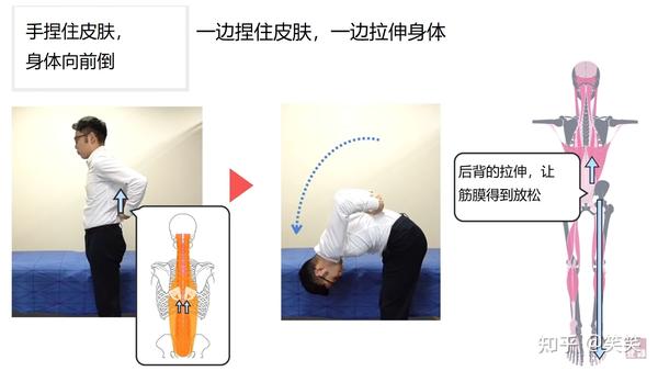 卡在那里,周围的肌肉和筋膜都变得僵硬,就影响到了腿部肌肉的运动