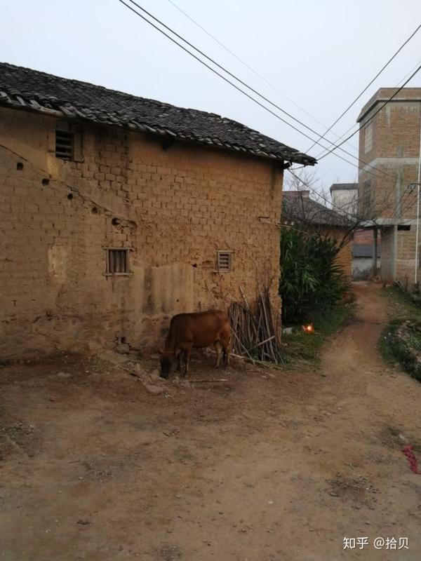 我出生在广西一个很贫穷的小山村, 住的还是七八十年前建的泥土房