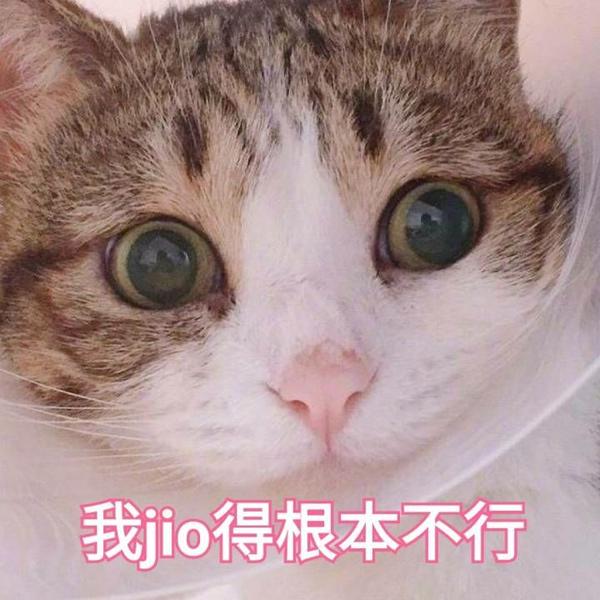萌系表情包,就是用可爱的图自己加文字就可以了,上面的表情包里,就有