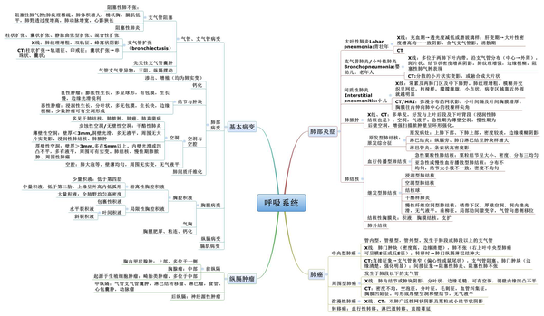 2.呼吸系统