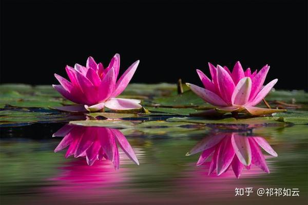 大宝二宝手足相争,父母将一碗水端平的"内心想法"?