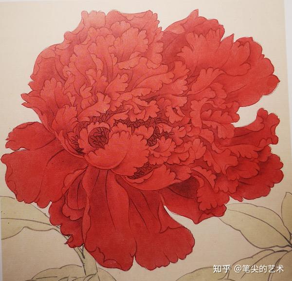 工笔红芍药画法技巧