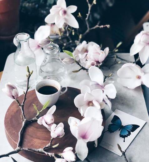 小资生活,怎能少的了咖啡与花