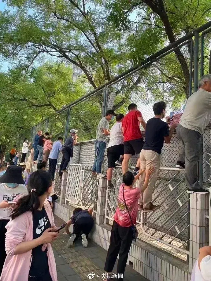 开学季家长统一姿势 zhuanlan.zhihu.com