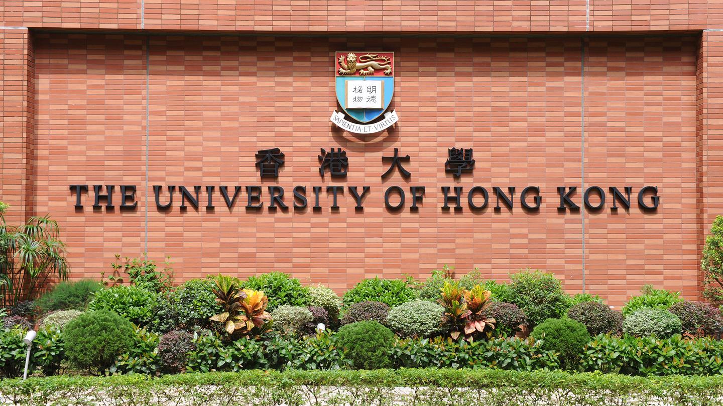 校友反馈:香港大学(hku)金融硕士(mfin)校友就读体验及求职经验分享