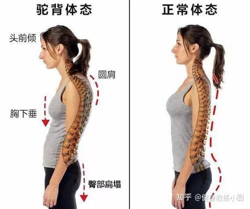 让背部变薄变美