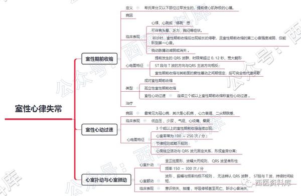 内科学思维导图笔记–第四篇–心律失常