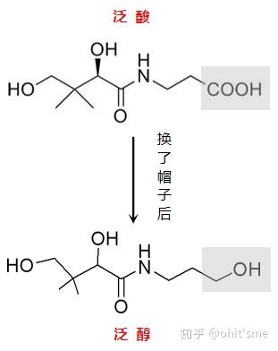 成分系列5维生素b5
