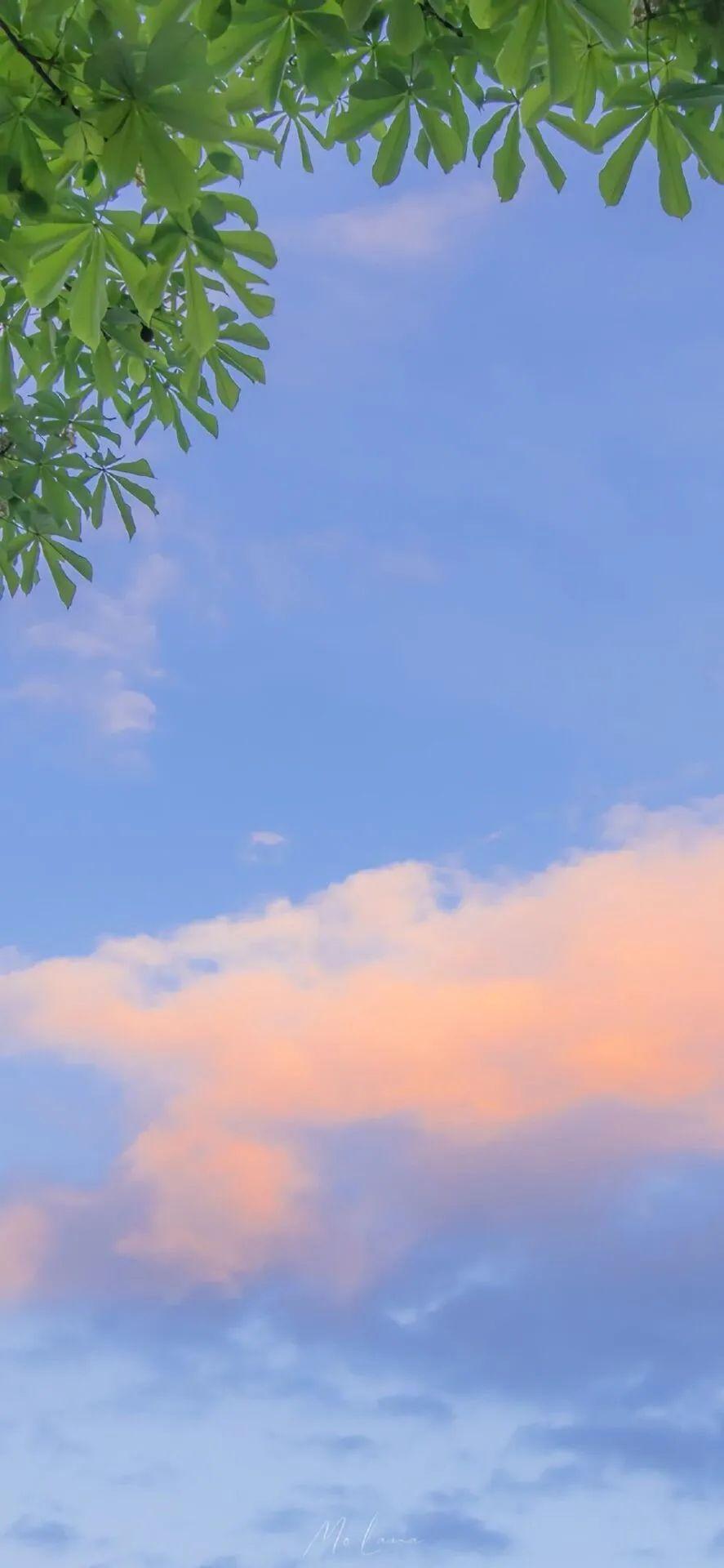 背景 壁纸 风景 天空 桌面 887_1920 竖版 竖屏 手机