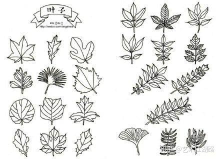 干货分享植物简笔画