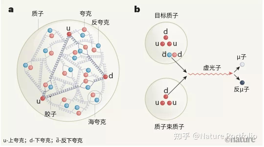 质子中的反下夸克多于反上夸克