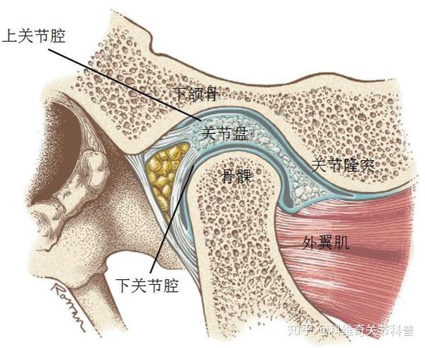 科普答疑|不可复关节盘移位到底是什么?