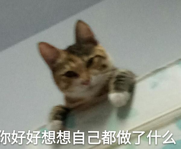 没想到会有人点赞,那就更新点五香小公主的日常嫌弃的表情包吧.