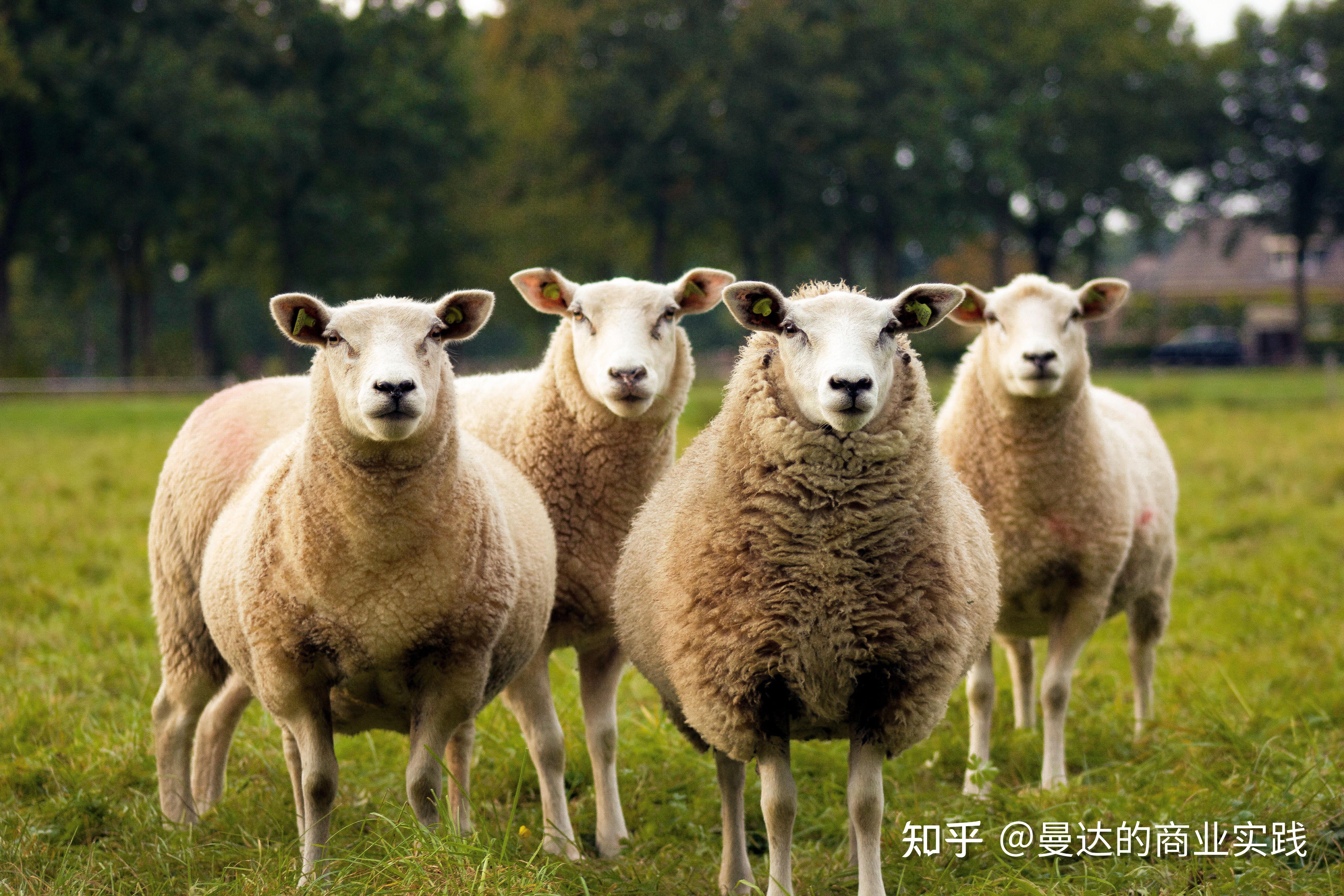 私域就是个微、企微、微信群吗？