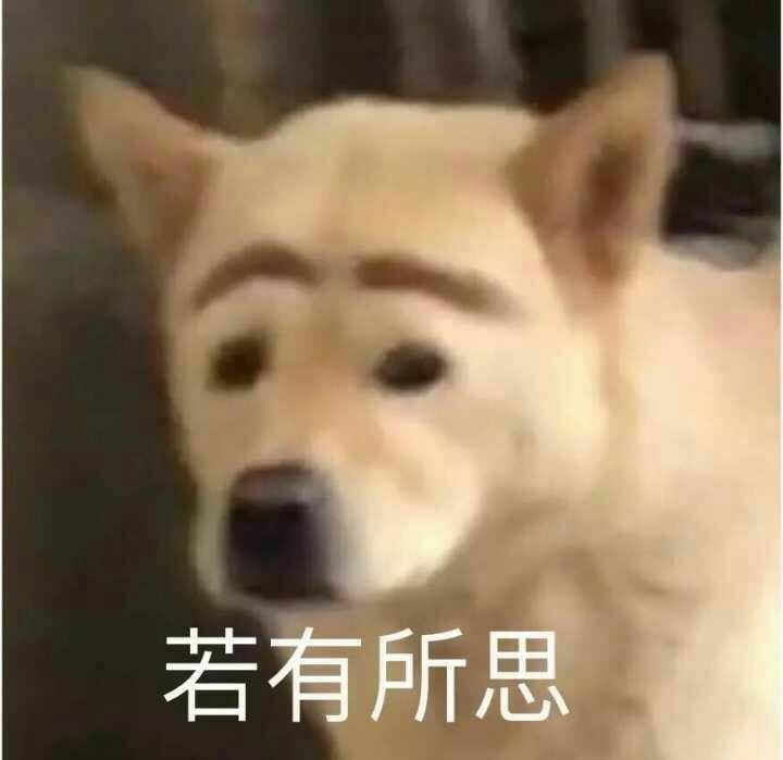 渣男渣不渣和猫表情包没有直接关系,不然我这种喜欢发沙雕图的直男还