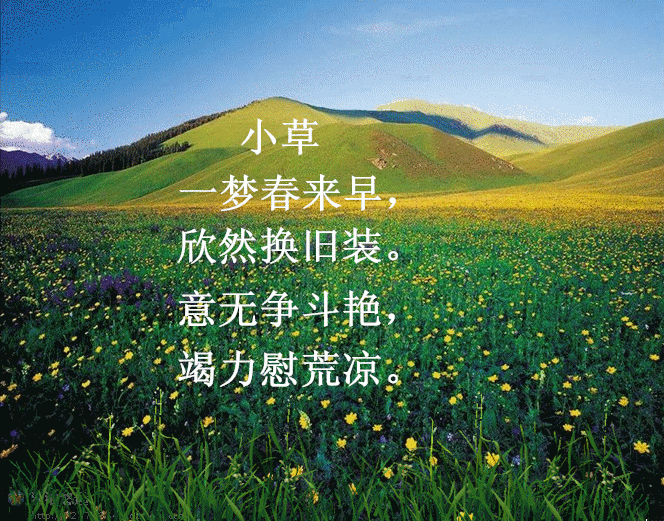 gif动态图5自然风景树木草叶多图欣赏