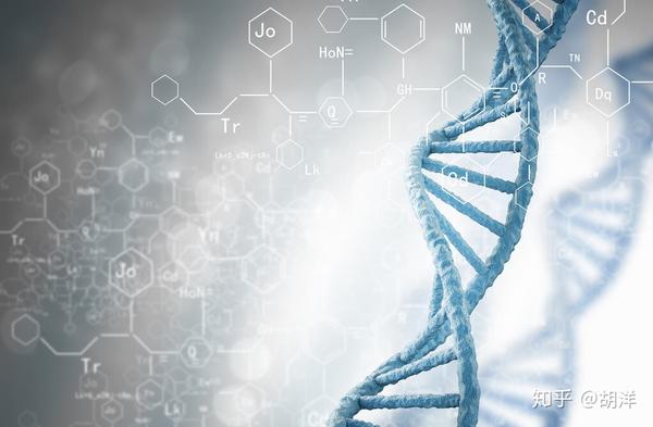 胡洋大夫谈肺癌科普直播回顾,肺癌早期诊断新指标,dna甲基化