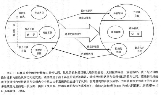 生物,ai,心理:目前的大脑/认知/意识/agi/drl模型