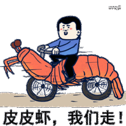 我还有好多皮皮虾的动图表情包我没存下来, 感兴趣的各位可以去soogif