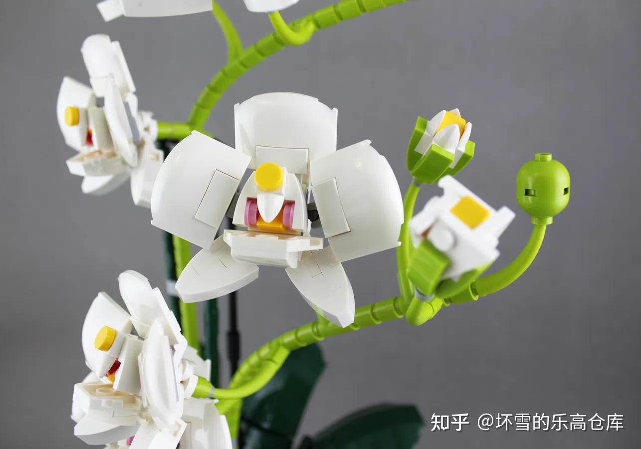 又到了百花齐放的美妙季节分享几组乐高创意高手花卉主题你最喜欢哪一