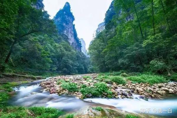 冬季去张家界旅游攻略-春节期间住房,门票紧张吗? 景色如何?