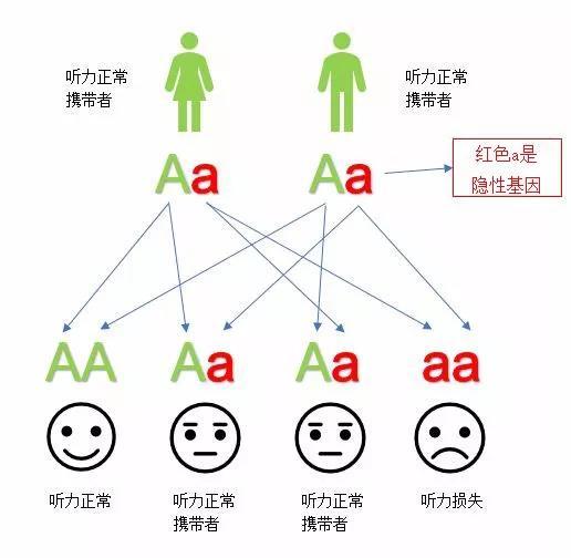 为什么要做耳聋基因检测?