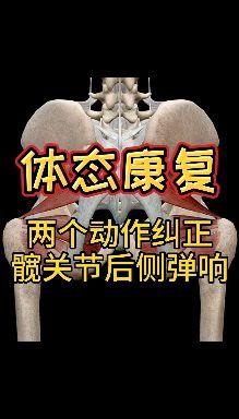 【体态康复】一个动作纠正髋关节内部弹响.