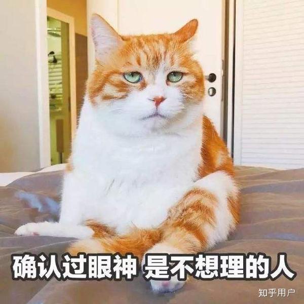 言辞粗俗,怎么脏怎么来,骂起男票也是毫不含糊 虚情假意,天天给自己