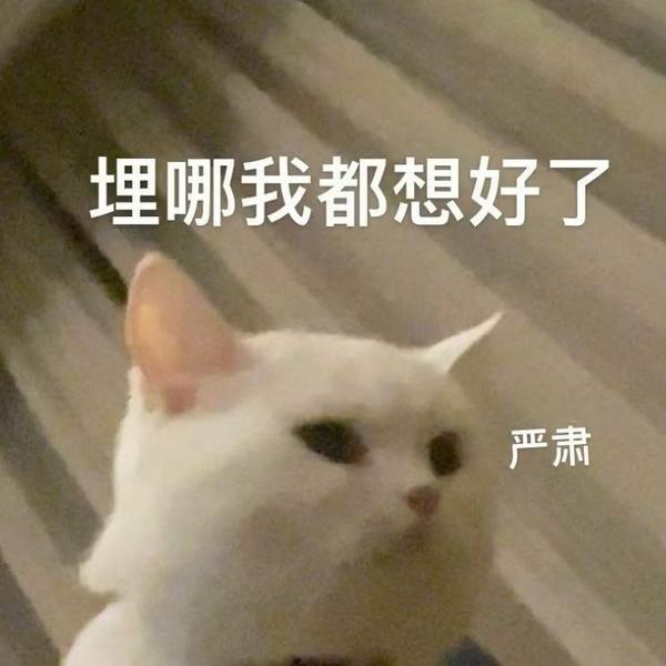 可以用来给男人画大饼的文案