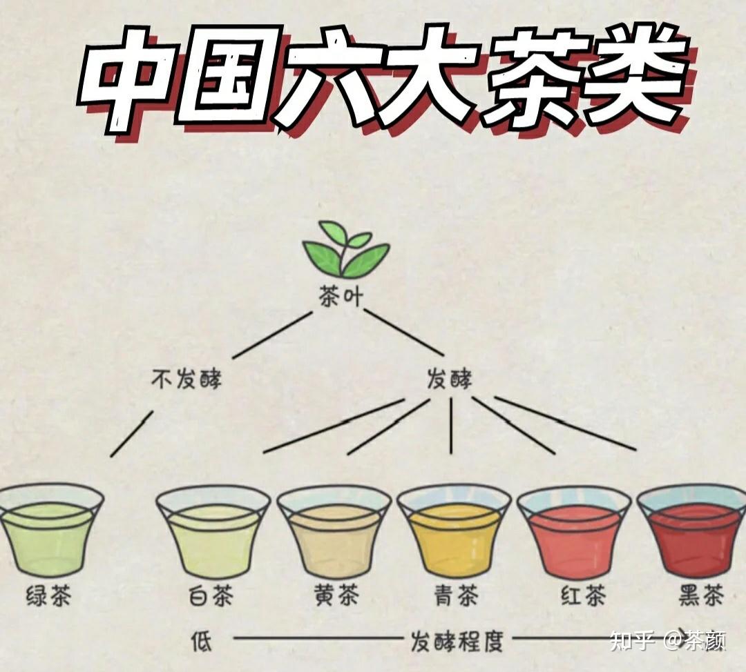 中国六大茶类的茶性了解这些基础知识再来挑茶叶不要喝错了