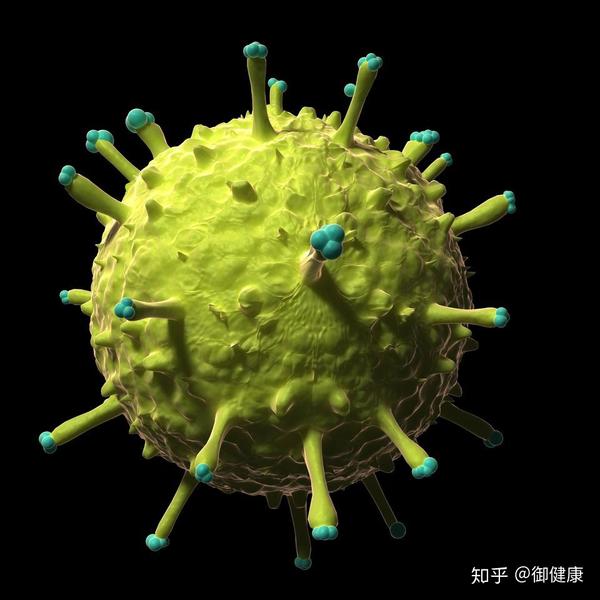 甲型h1n1流感病毒(bsl-2)