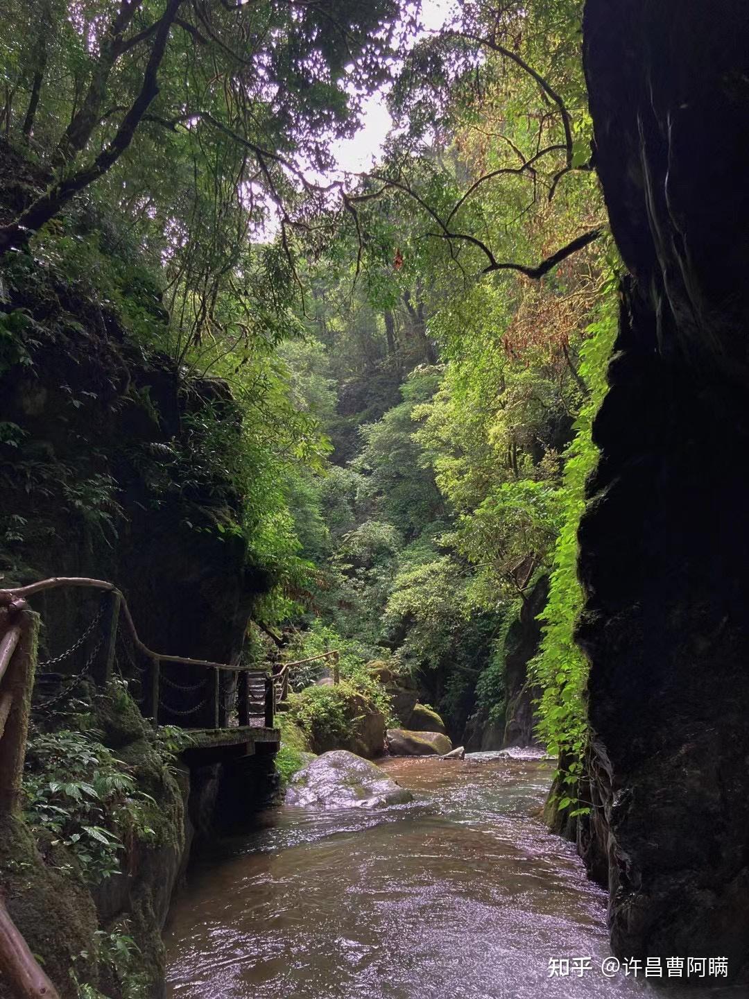 云南哀牢山究竟有多凶险?