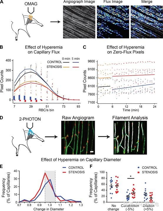 Am J Physiol Heart Circ Physiol