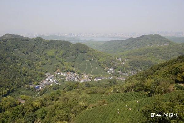 龙井村-狮峰山-牛背脊