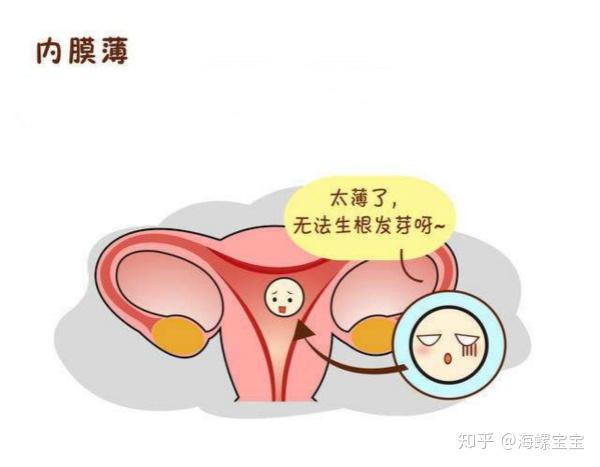 子宫内膜正常厚度是多少?过薄需要怎么调理?