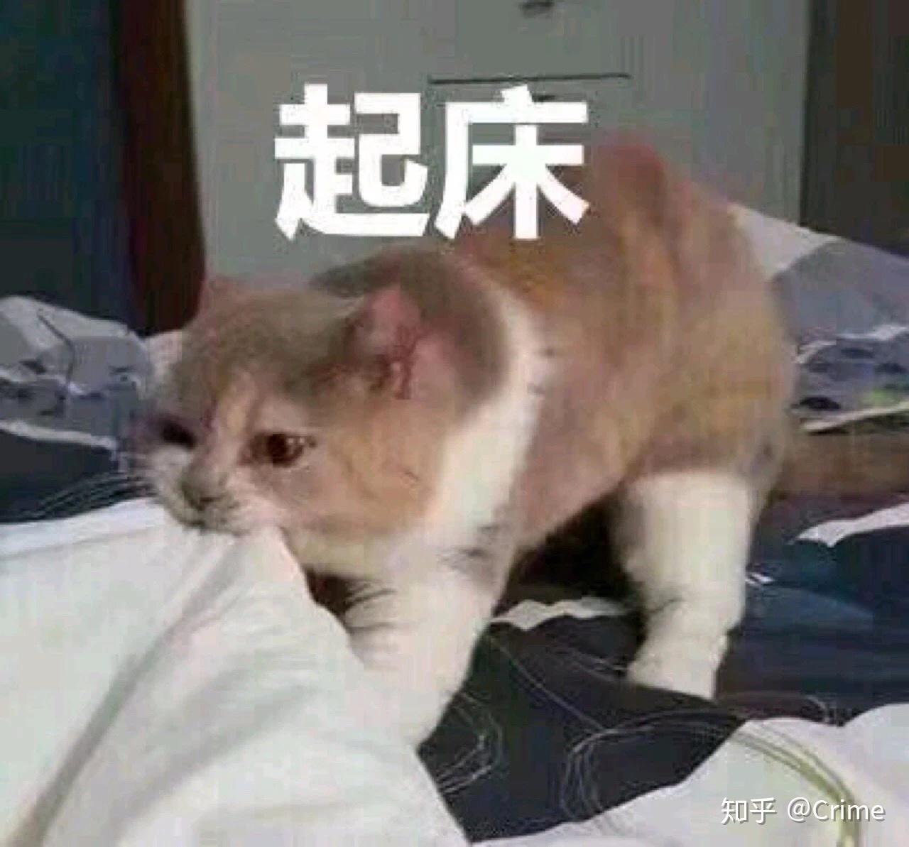 有哪些怼死人的表情?的做搞笑怎么表情包图片