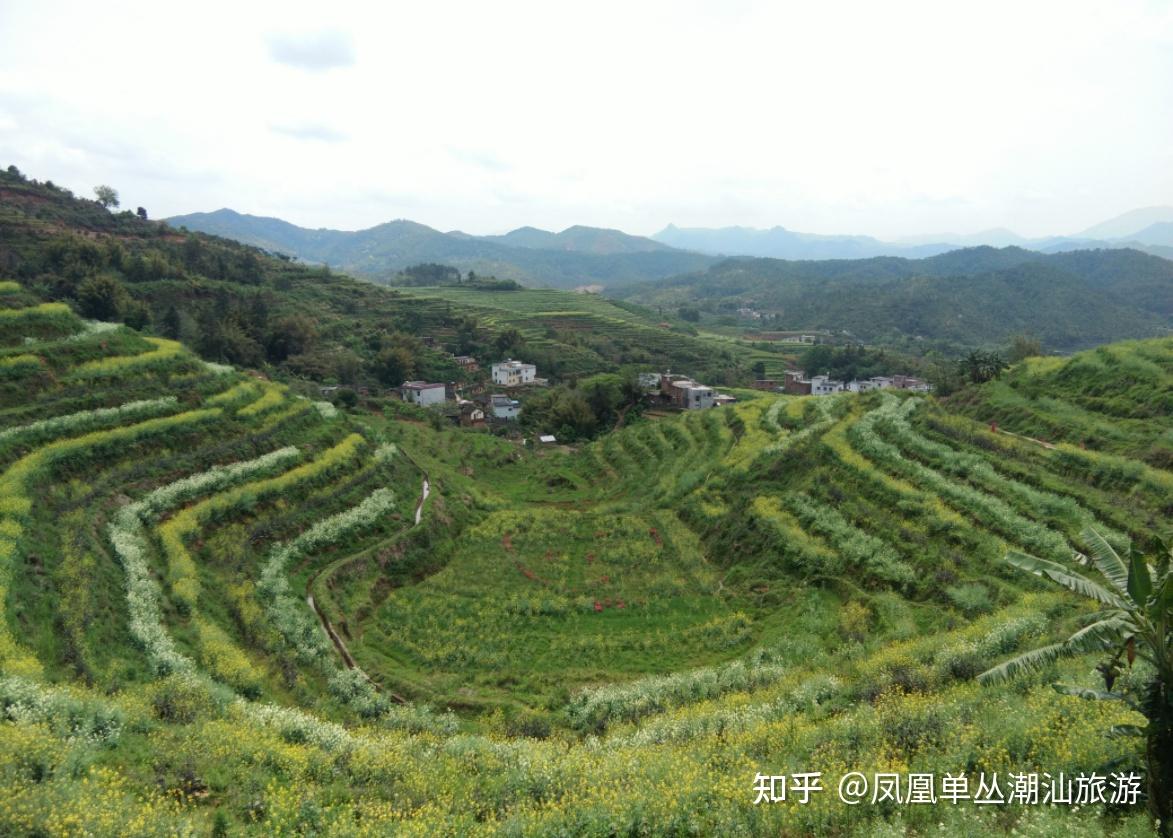 到坪山梯田首先经过的是大东镇,大东镇位于大埔县东南部,与饶平县上饶