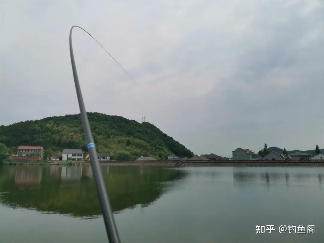 准备买鱼竿的注意了如果仅仅为了钓大鱼请选择这样的鱼竿