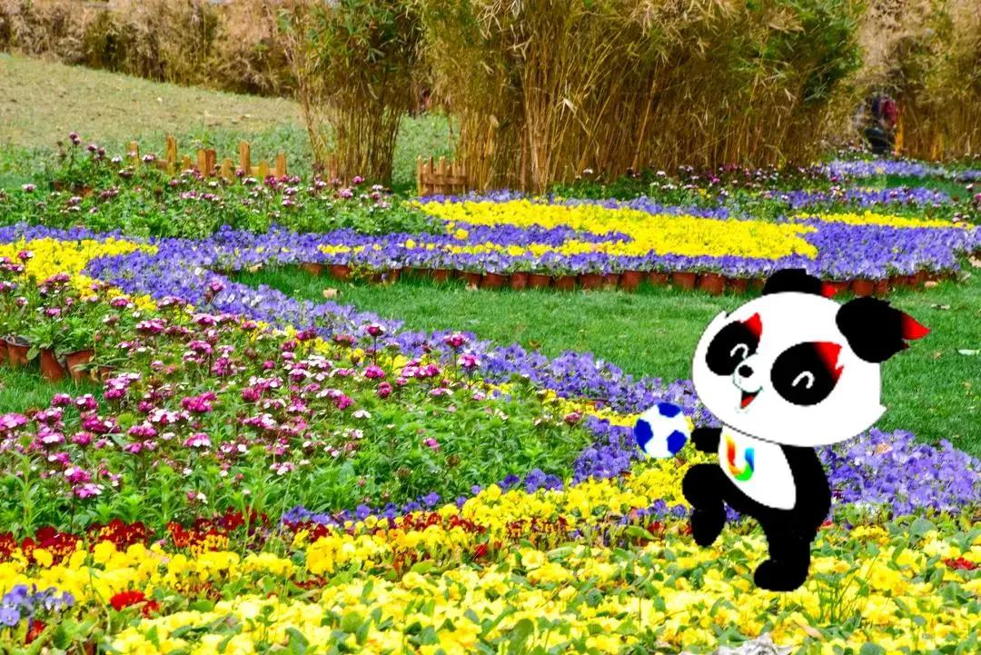 两拆一增 | 不负好春光,一起来"解锁"看得见的幸福!