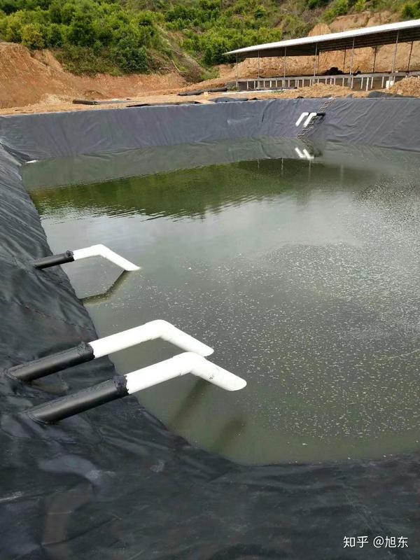 环保要求下,新型黑膜化粪池很好解决养殖场污水问题