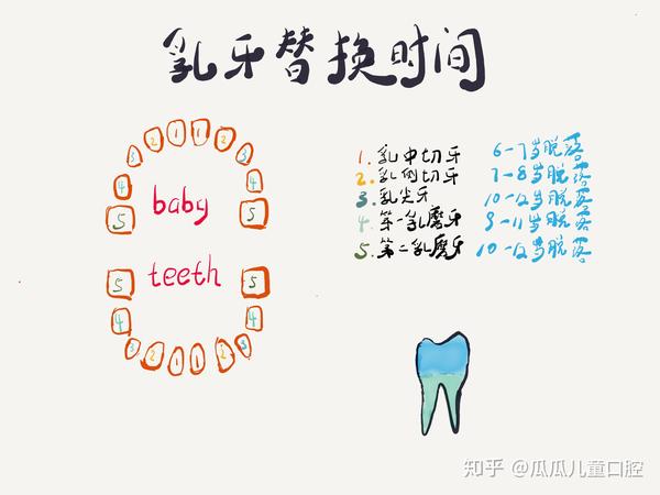 宝贝的牙齿一直不换到底正不正常